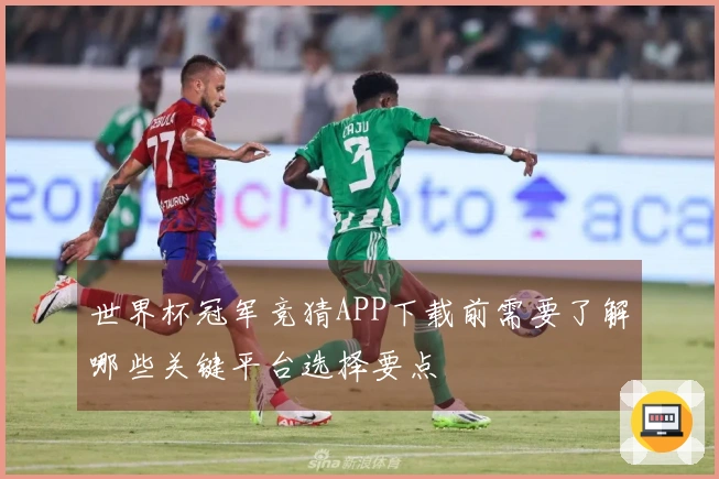 世界杯冠军竞猜APP下载前需要了解哪些关键平台选择要点