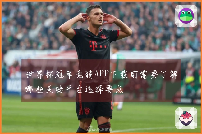 世界杯冠军竞猜APP下载前需要了解哪些关键平台选择要点