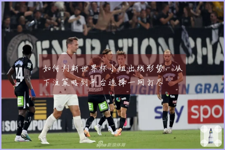 如何判断世界杯小组出线形势，从下注策略到平台选择一网打尽